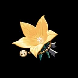 Instructor's Brooch