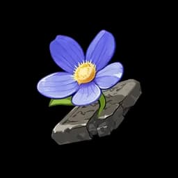 Tiny Miracle
