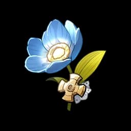 Traveling Doctor's Silver Lotus