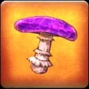 Purple Mushroom
