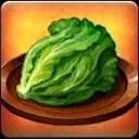 Romaine Lettuce