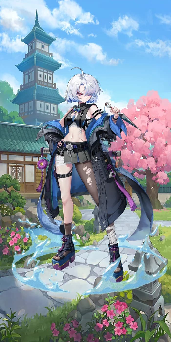 Elite Ninja Natsume