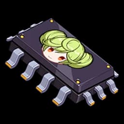Admin Chip