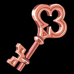 Alarm Key