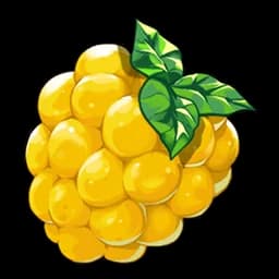 Berry