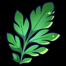 Branch