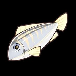 Fat Goldlined Seabream