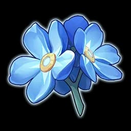 Forget-Me-Not