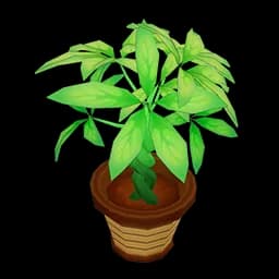Green Bonsai