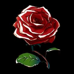 Rose of Love