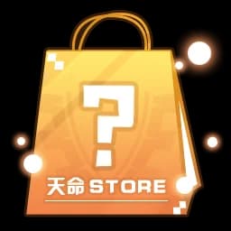 Schicksal Store: Mysterious Merch Pack