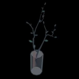 Soothing Plant