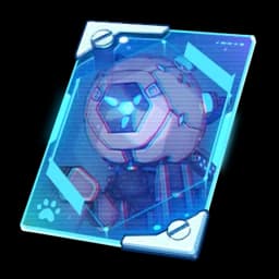 Spider (Seaside)