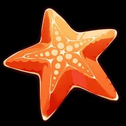 Summer Starfish