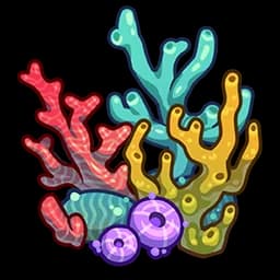 Sun Coral