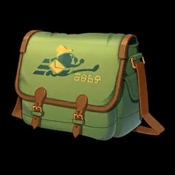 Empty Postal Bag