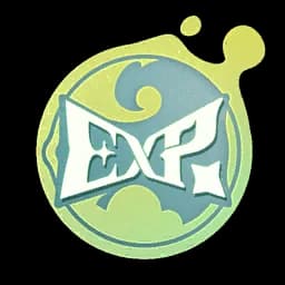 Experience