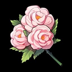 Ball Peony