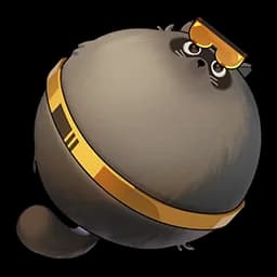 Balloon Furbo