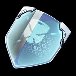 Disposable Shield