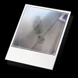 Footprint