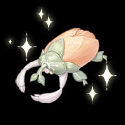 Aseno's Observation: Blossom Beetle