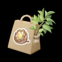 Buttoncone Seed