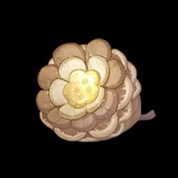Buttoncone