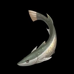 Carver Fish