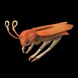 Clip Beetle