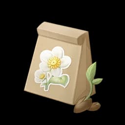 Daisy Seed