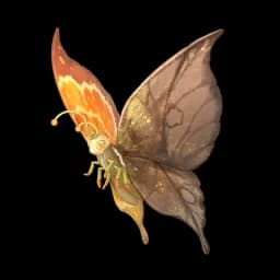 Dawn Wings