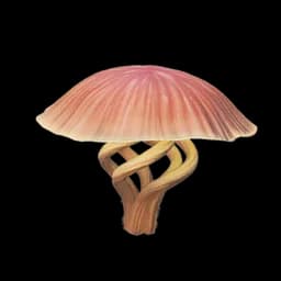 Dreamweaver Shroom