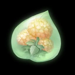 Duotone Honey Pomponbloom Essence