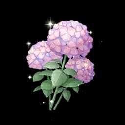 Duotone Skydim Pomponbloom