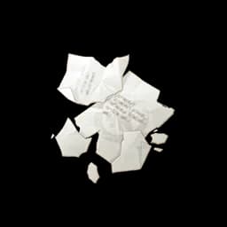 Fallen Paper