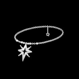 Fallen Star