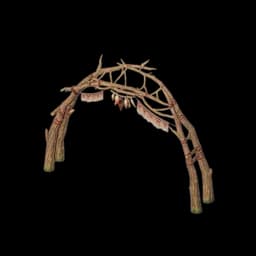 Feather-Adorned Arch