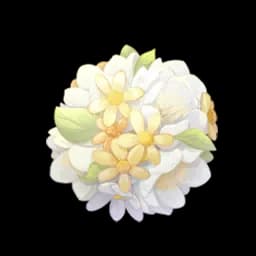 Florapom