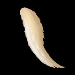 Fluffy Tail