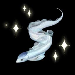 Fresh Ribbon Eel