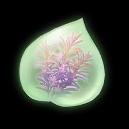 Fruity Aromasprig Essence
