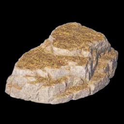 Giant Rock