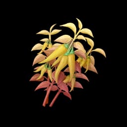 Golden Chilixy