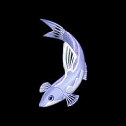 Hairpin Loach