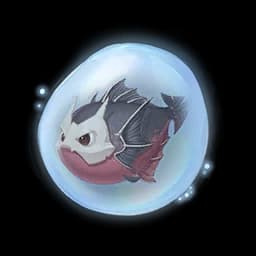 Helmet Fish Essence