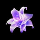 Illusibloom Whisper