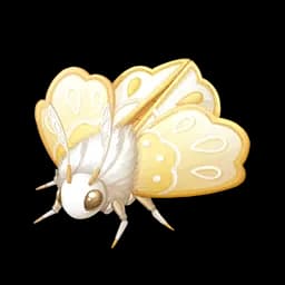 Knitmoth