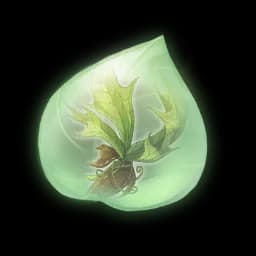 Knotted Fern Essence