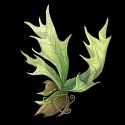 Knotted Fern